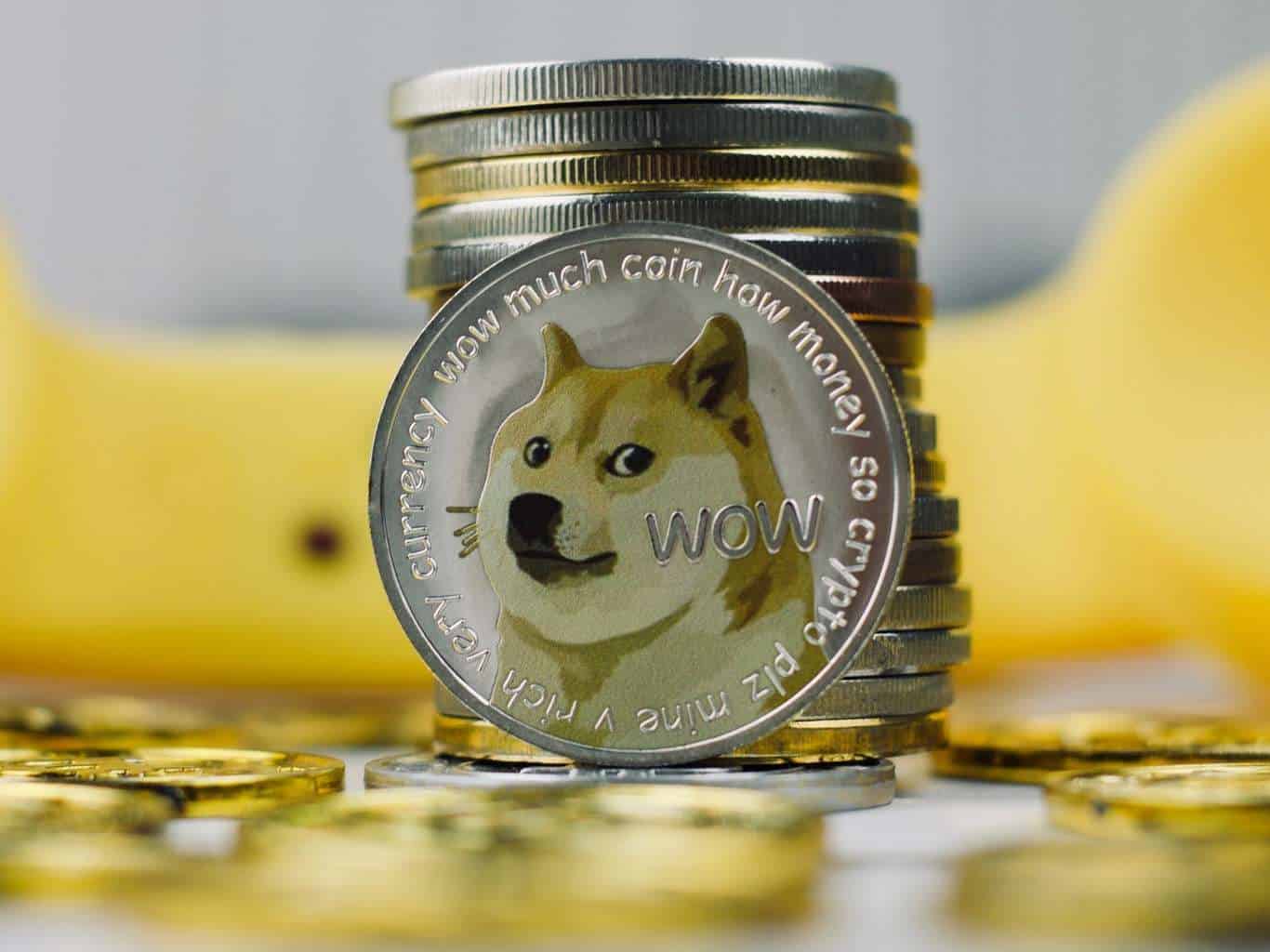 elon musk dogecoin